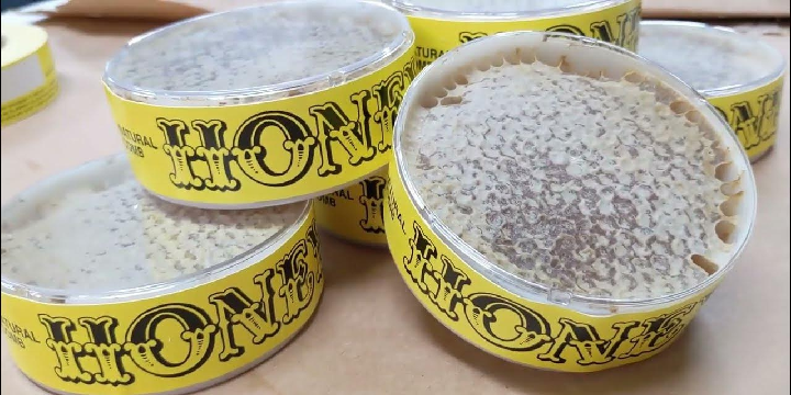 Comb Honey